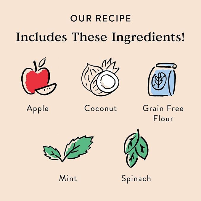 Bocce’s Bakery Dailies Brushy Sticks to Support Oral Health &amp; Fresh Breath, Wheat-Free Dental Bars for Dogs, Made with Real Ingredients, Baked in the USA, All-Natural Coconut &amp; Mint Recipe, Large Dogs
