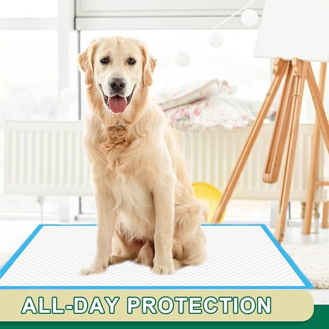 IMMCUTE Puppy Pads 22"x23" 100 Count | 6-Layer Leak-Proof &amp; Super Absorbent Dog Training Pads | Disposable Potty Pads for Puppies, Dogs, Cats &amp; Rabbits | Blue &amp; White
