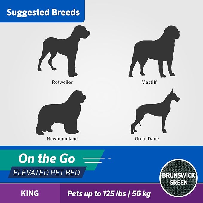 Coolaroo On-The-Go Elevated Dog Bed - Foldable Pop-Up Travel Dog Bed with Breathable, Moisture-Resistant Fabric, Carry Bag Included, Lightweight &amp; Portable, Brunswick Green, Extra Large