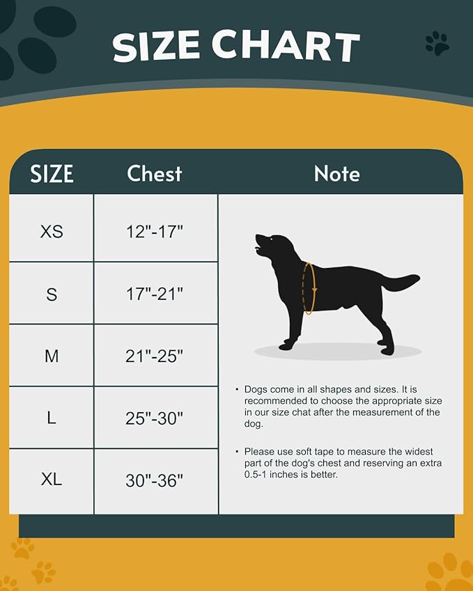 MIDOG No-Pull Dog Harness | Adjustable &amp; Reflective Pet Harness Leash Set for Small Medium Large Dogs Walking, Training| No Choke, Front Clip, Soft Padded Vest with Easy Control Handle - Blue, S
