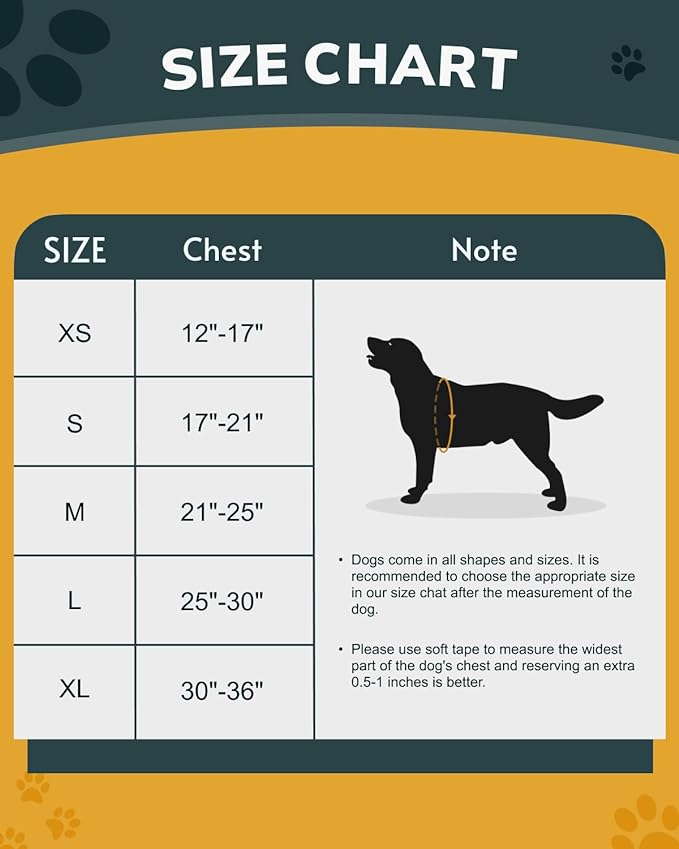 MIDOG No-Pull Dog Harness | Adjustable &amp; Reflective Pet Harness Leash Set for Small Medium Large Dogs Walking, Training| No Choke, Front Clip, Soft Padded Vest with Easy Control Handle - Blue, M