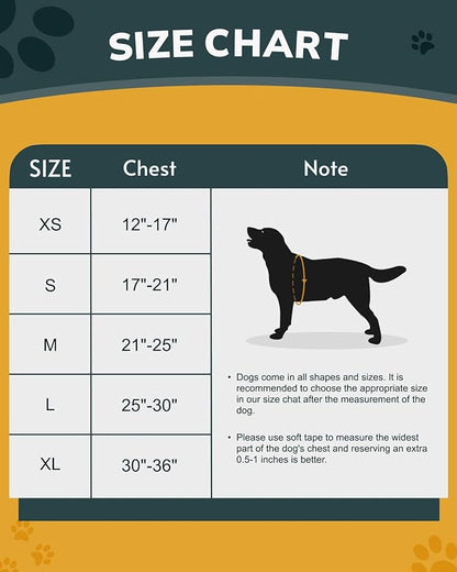 MIDOG No-Pull Dog Harness | Adjustable &amp; Reflective Pet Harness Leash Set for Small Medium Large Dogs Walking, Training| No Choke, Front Clip, Soft Padded Vest with Easy Control Handle - Blue, M
