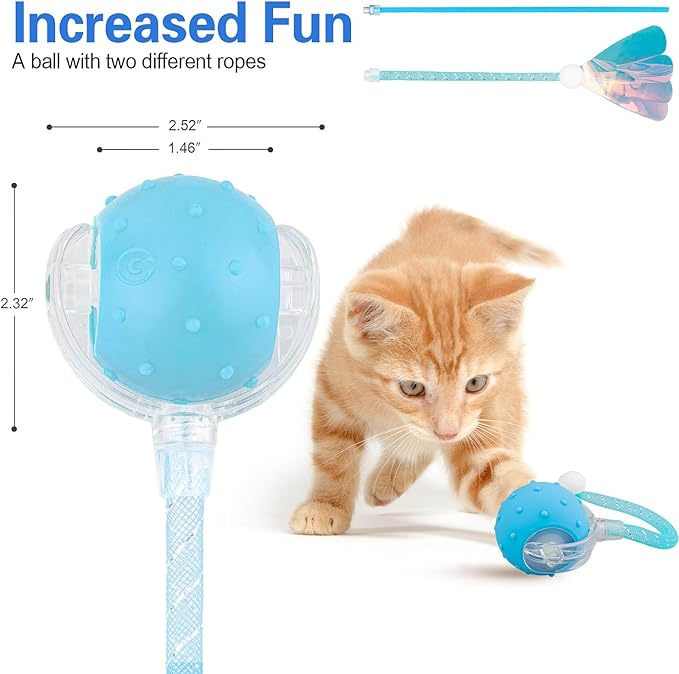 Interactive Cat Toys Ball for Indoor Cats, Automatic Agile Rolling Cat Ball with Elastic Mesh Tail, Bird Chirping &amp; Motion Activated, 2 Tail Accessories, Kitten Toy for Bored (Blue)