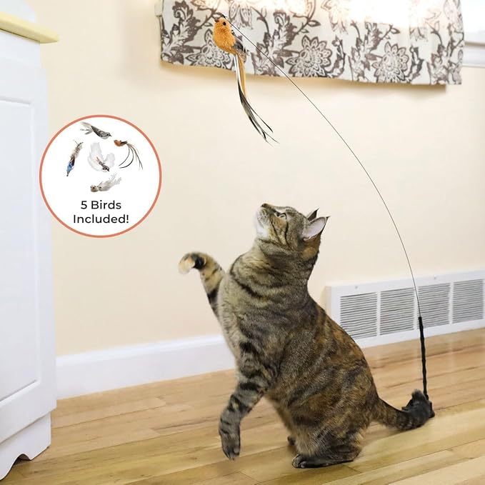 Interactive Bird Simulation Cat Toy Set, Interactive Cat Toy for Indoor Cats, Cat Feather Toy, Suction Cup, Weighted Base, 5 Replacement Birds, Feathers &amp; Bells, Realistic Bird Impression