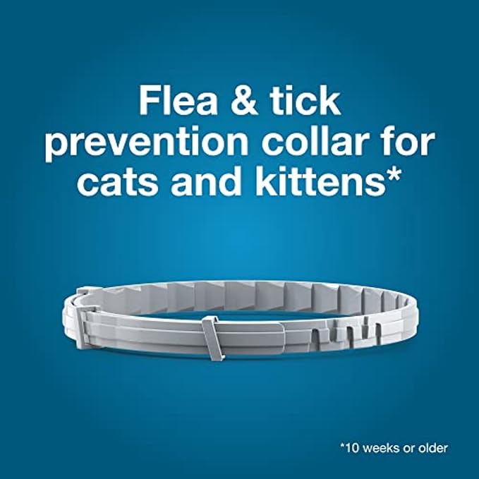 Seresto Cat Vet-Recommended Flea &amp; Tick Treatment &amp; Prevention Collar for Cats, 8 Months Protection | (Pack of 2)