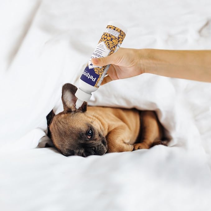 Petpost | Dog Ear Cleaner - Natural Coconut Oil Solution - Best Remedy for Odor - Dog Ear Problems - Chemical &amp; Irritant Free 8 oz.