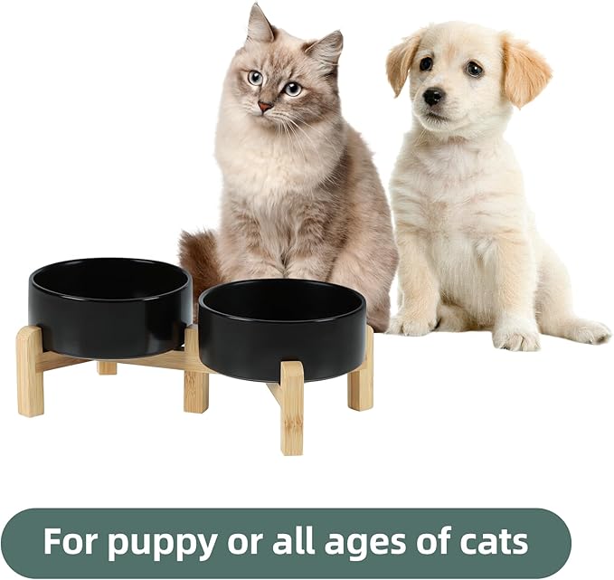 Ceramic Raised Double Bowls Set with Stand, 2 Heights Elevated, Food &amp; Water Bowls for Small Breed Dogs, Cats, Kitty, Weighted Dog Dishes, Pet Bowls(5.1&