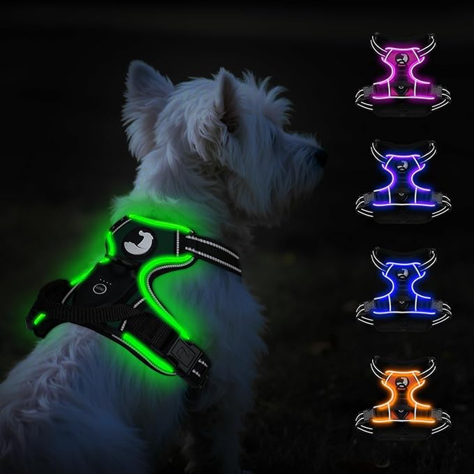 Taglory Light Up Dog Harness, Rechargeable No Pull Dog Vest with 3 Lightning Modes, Reflective Dog Harness with 2 Leash Clips &amp; 4 Adjustable Slide Strips for Small Dogs, Turquoise-Green, S