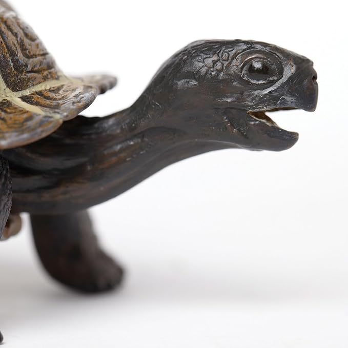 Safari Ltd. Tortoise Baby Figurine - Detailed 5.5" Plastic Model Figure - Fun Educational Play Toy for Boys, Girls &amp; Kids Ages 18M+