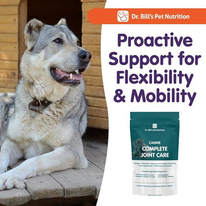 Dr. Bill’s Canine Complete Joint Care – Hip &amp; Joint Supplement for Dogs for Mobility, Muscle Support &amp; Inflammation Relief – Green Lipped Mussel, Chondroitin, Collagen, Omega-3 – Powder, 340g