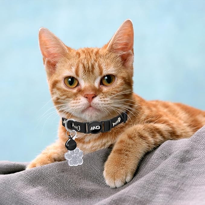 Personalized Breakaway Cat Collars Glow-in-The-Dark with ID Tag, Bell - Safety Quick - Release, Customizable for Female Male Kittens &amp; Cats (Black)