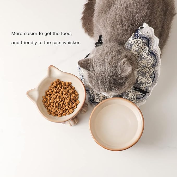 Nihow Elevated Cat/Dog Bowls Set : 5 Inch Ceramic Raised Cat Food &amp; Water Bowl Set for Protecting Pet&