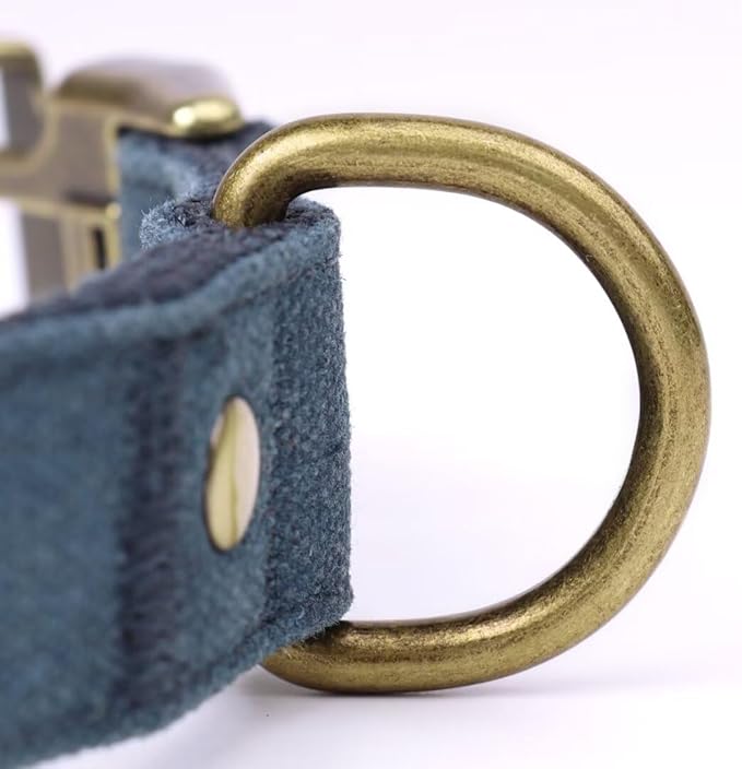PET ARTIST Dog Collars for Medium Dogs, Soft Padded Premium Nylon Dog Collar with Quick Release Metal Buckle, Durable &amp; Adjustable Pet Collars for Boy Gifts, Blue, M (Fit 13-20")