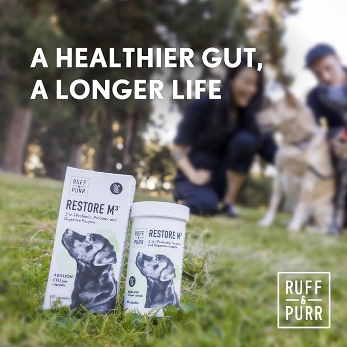 Ruff &amp; Purr Probiotics for Dogs – 3-in-1 Probiotics, Prebiotics and Digestive Enzymes for Gut Health, Immune Support, Healthy Skin and Coat – Clinically Studied DE111 &amp; PreforPro