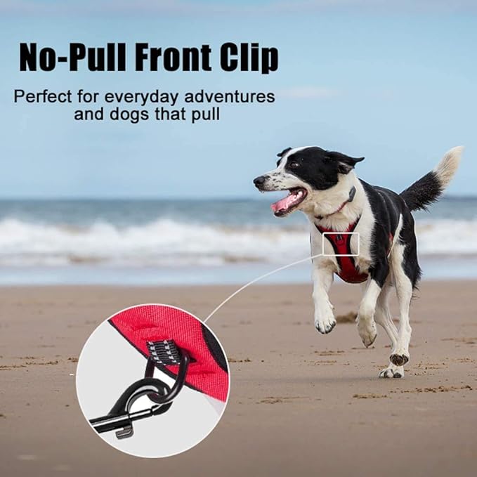 PoyPet No Pull Dog Harness, Reflective Comfortable Vest Harness with Front &amp; Back 2 Leash Attachments and Easy Control Handle Adjustable Soft Padded Pet Vest for Small to Large Dogs (Red,XS)