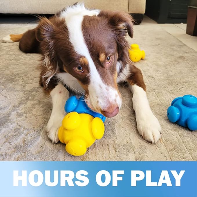 Dog Puzzles for Smart Dogs, Interactive, Puzzle Treats, Puppy Puzzle, Toys to Keep Them Busy, Dog Games, Toys for Bored Dogs, Advanced Puzzles, Boredom Busters (6 Pieces)