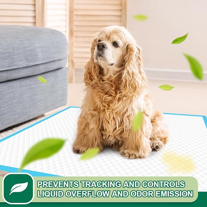 IMMCUTE Puppy Pads 22"x23" 100 Count | 6-Layer Leak-Proof &amp; Super Absorbent Dog Training Pads | Disposable Potty Pads for Puppies, Dogs, Cats &amp; Rabbits | Blue &amp; White
