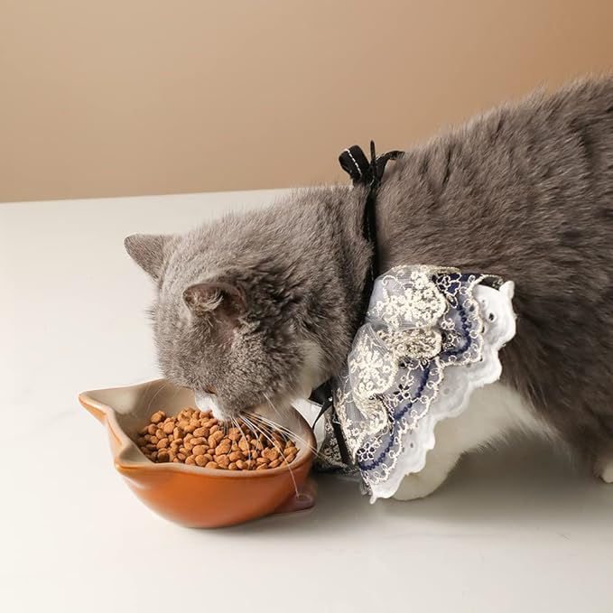 Nihow Ceramic Basic Cat Bowls: 5 Inch Cat Bowl for Food &amp; Water - Food Grade Cat Dish for Small-Sized Cat - Microwave &amp; Dishwasher Safe -Elegant Brown (4.25 OZ /1 PC)