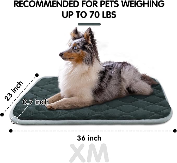 furrybaby Dog Bed Mat Flat Crate Mat with Anti-Slip Bottom Machine Washable Pet Kennel Pad for Dog Sleeping (XM 36x23&