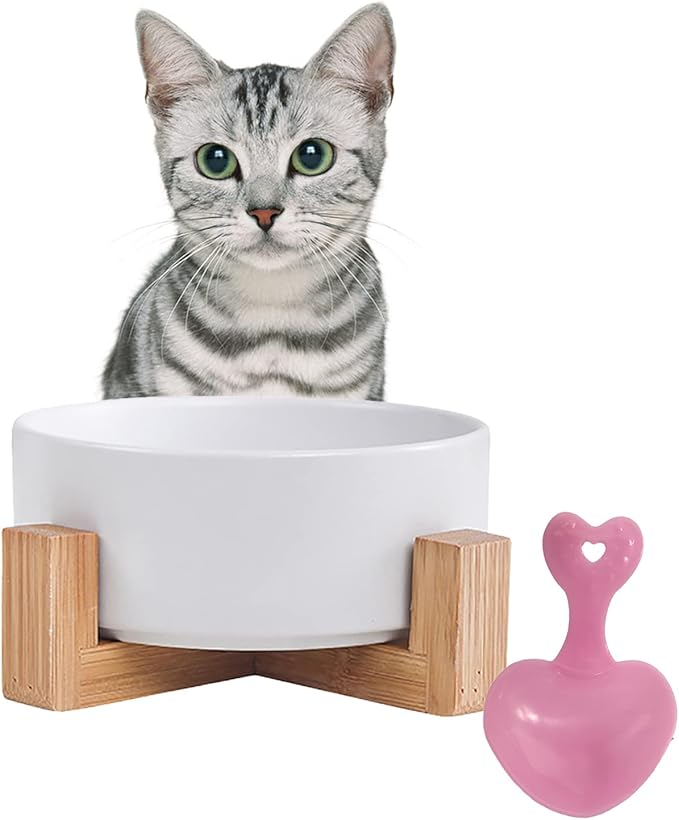 Ceramic Dog Cat Bowl with Wood Stand,Cat Food &amp; Water Bowls Elevated Non-Spill Modern Cute Kitty Dishes Heavy Weighted Round Pet Dishes Set for Kitten Small Cat(White)