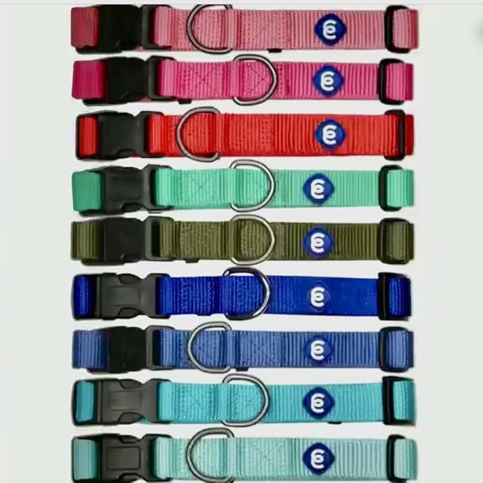 Blueberry Pet Essentials Small Dog Collar in Royal Blue | Adjustable &amp; Eco-Friendly Durable Nylon Strap | Classic Collar for Small Dogs, Boy &amp; Girl Pets