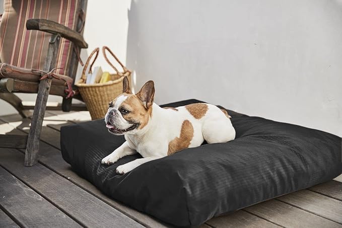 K9 Ballistics Tough Rectangle Pillow S Dog Bed - Removable Cover, Washable, Durable &amp; Water Resistant Dog Bed Made for Small Dogs 24"x18" Sandstone