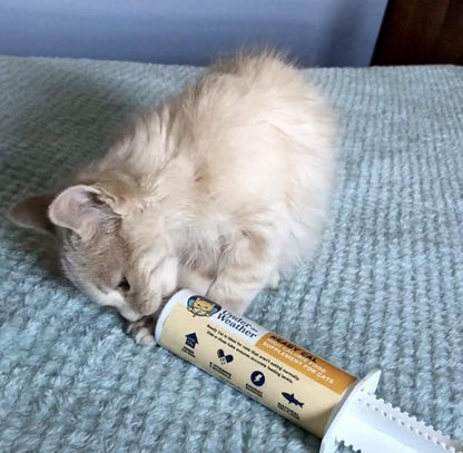 Under The Weather Pet | Ready Cal for Cats 100cc | High Calorie Supplement | Cat Weight Gainer and High Calorie Booster | 10 Vitamins, 7 Minerals &amp; Omega Fatty Acids (for Cats 100cc)