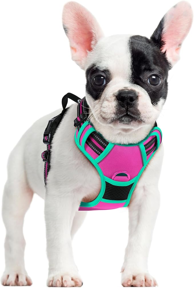 rabbitgoo Dog Harness No Pull with 2 Leash Clips, Adjustable Soft Padded, Reflective Oxford No Choke Pet Vest with Easy Control Handle for Large Dogs, Hot Pink &amp; Turquoise, S