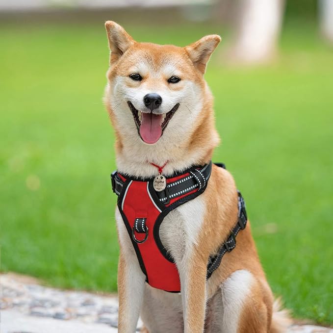 PoyPet No Pull Dog Harness, Reflective Comfortable Vest Harness with Front &amp; Back 2 Leash Attachments and Easy Control Handle Adjustable Soft Padded Pet Vest for Small to Large Dogs (Red,L)