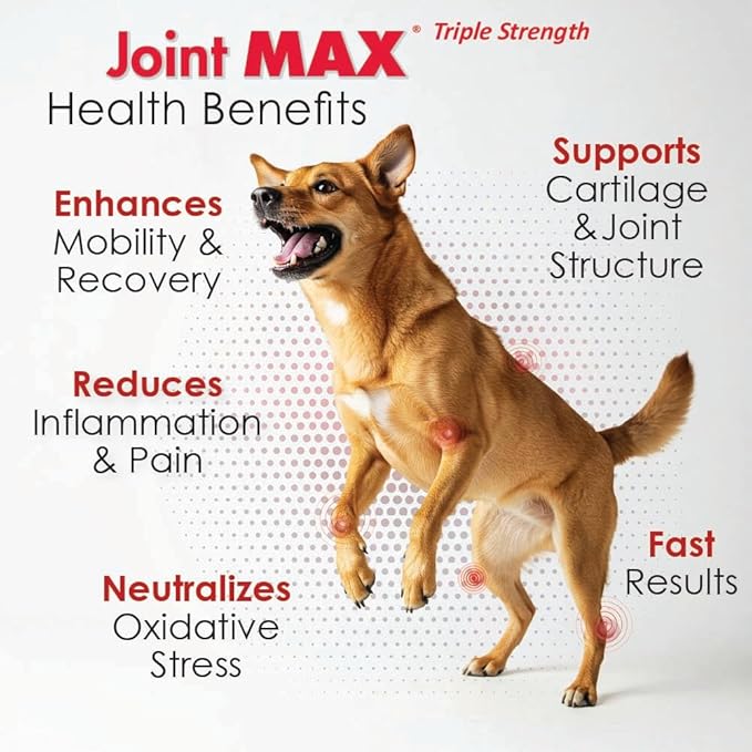TS Joint Supplement Vet Formulated Pain &amp; Inflammation Relief Treats Hip Dysplasia &amp; Arthritis, Glucosamine, Chondroitin, Turmeric, MSM, HA, Creatine, Omega 3 EPA + DHA.120 Soft Chews