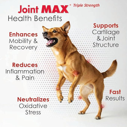 TS Joint Supplement Vet Formulated Pain &amp; Inflammation Relief Treats Hip Dysplasia &amp; Arthritis, Glucosamine, Chondroitin, Turmeric, MSM, HA, Creatine, Omega 3 EPA + DHA.120 Soft Chews