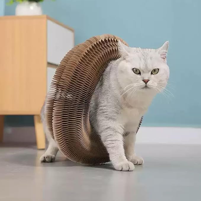 Magic Accordion Cat Scratching Board - Interactive Toy for Bored Indoor Cats, Fun &amp; Durable Cat Toys 2Pack
