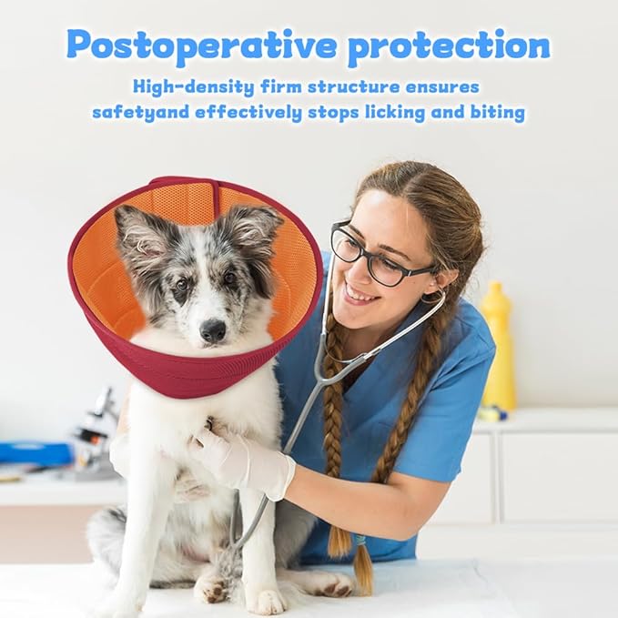 Soft Dog Cone Recovery Collars &amp; Cones After Surgery for Medium Large Dogs, Comfy Ecollars to Stop Licking, Adjustable, Dog Ecollars for Recovery Plastic: Superior Support Fabric: Soft Comfort, XL