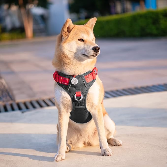 PHOEPET No Pull Dog Harness, Unique Colors Reflective Adjustable Dog Vest, with Soft Training Handle Metal Clips for Small Medium Large Dogs (Black Base &amp; Red Straps,XL)