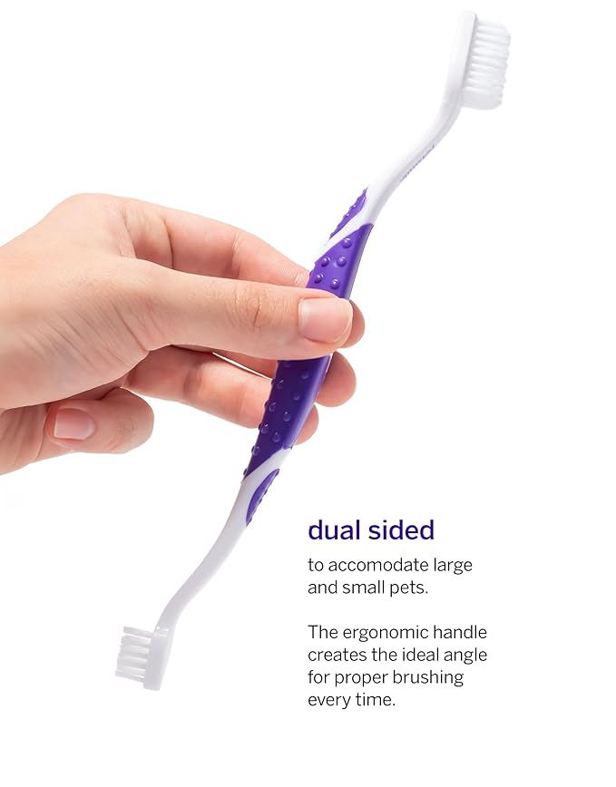 petsmile Professional Pet Toothbrush - Patented 45 Degree Cat &amp; Dog Toothbrush for Small &amp; Large Animals - Pet Accessories for Dental Care - VOHC Approved Teeth Cleaning - Dog Toothpaste Not Included