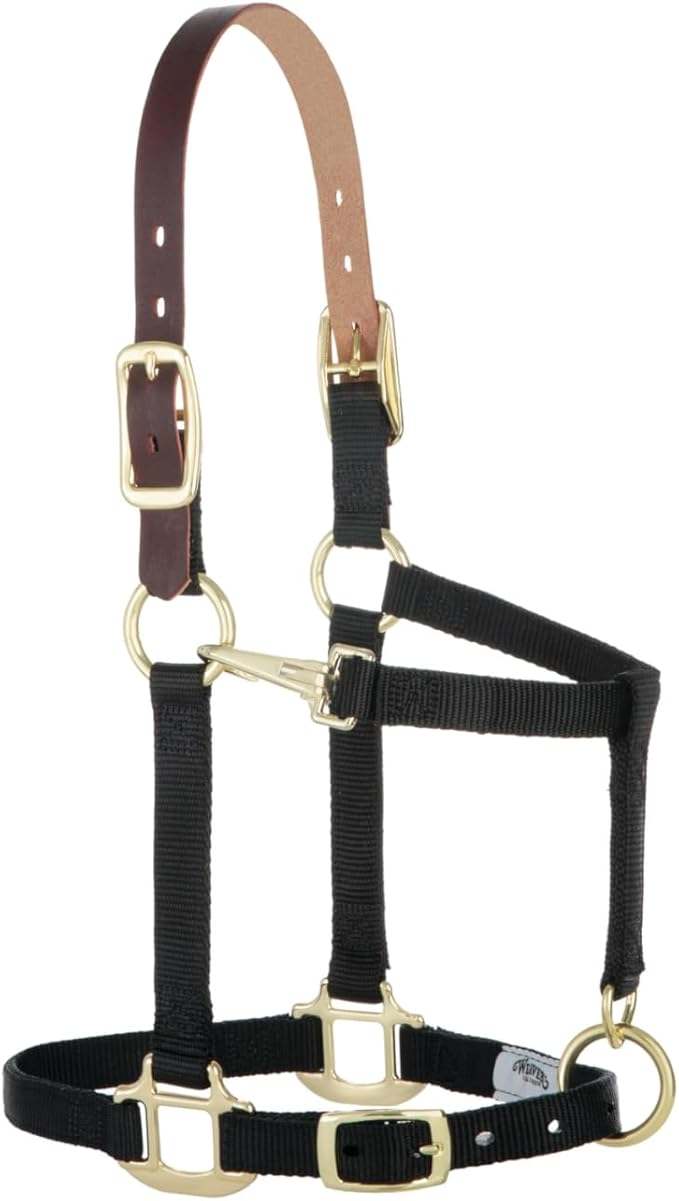 Weaver Equine Breakaway Horse Halter, Supple Leather Crown, Adjustable Chin &amp; Throat Snap Halters for Horses, Equine Tack,Pony Size, Black
