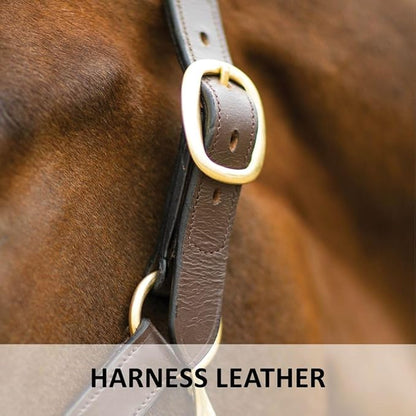 Dura-Tech Premier Lancaster Leather Halter for Horses | Simple Economy Leather Halter with Adjustable Fit &amp; Solid Brass Hardware