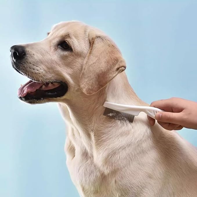4 in 1 Cat Grooming Brush Self Cleaning Slicker Brush Dematting Tool for Dogs &amp; Cats Haired Pets Skin Friendly, Deshedding Tool, Suitable for Pet Supplies Accessories, Blue