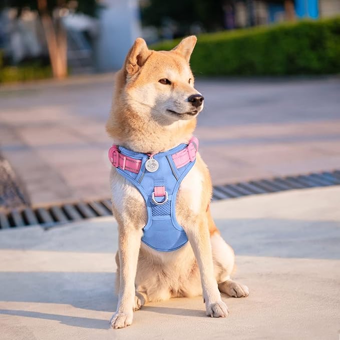 PHOEPET No Pull Dog Harness, Unique Colors Reflective Adjustable Dog Vest, with Soft Training Handle Metal Clips for Small Medium Large Dogs (Baby Blue Base &amp; Pink Straps,L)