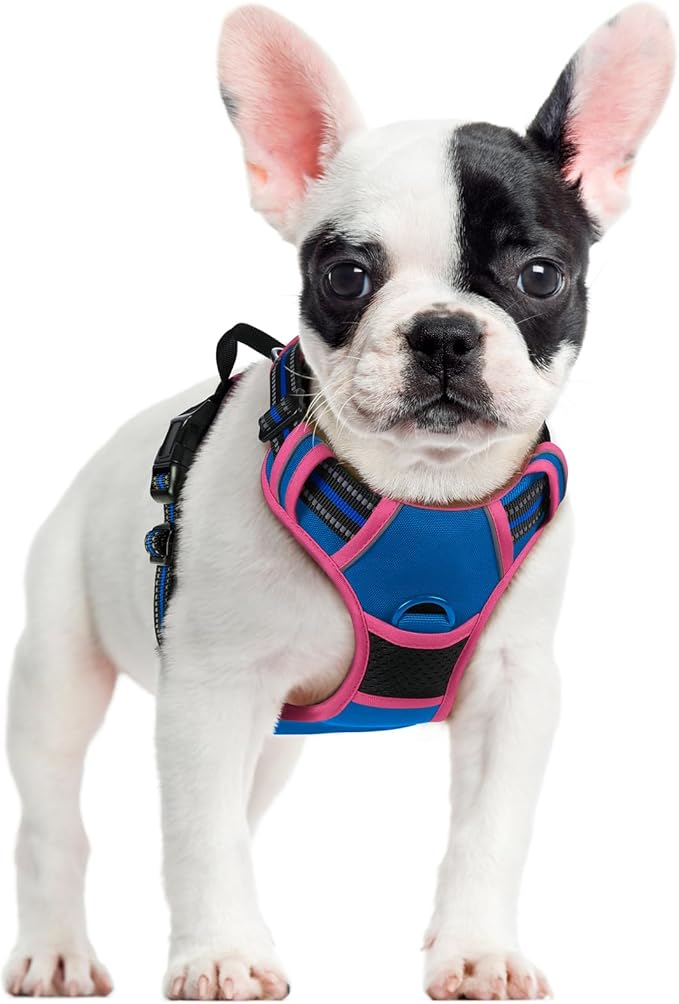 rabbitgoo Dog Harness No Pull with 2 Leash Clips, Adjustable Soft Padded, Reflective Oxford No Choke Pet Vest with Easy Control Handle for Large Dogs, Blue &amp; Hot Pink, S
