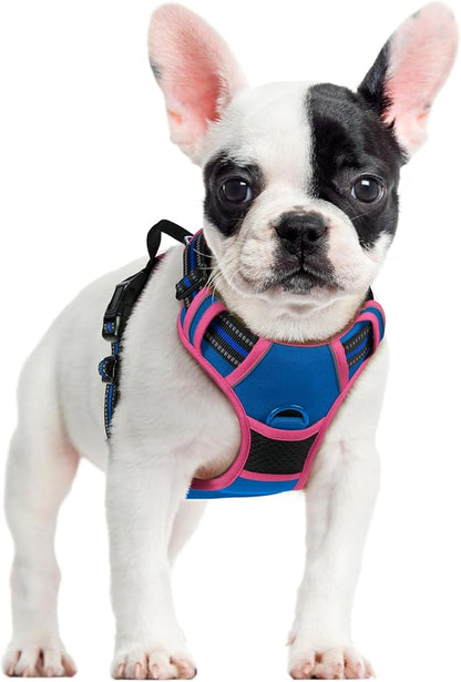 rabbitgoo Dog Harness No Pull with 2 Leash Clips, Adjustable Soft Padded, Reflective Oxford No Choke Pet Vest with Easy Control Handle for Large Dogs, Blue &amp; Hot Pink, S