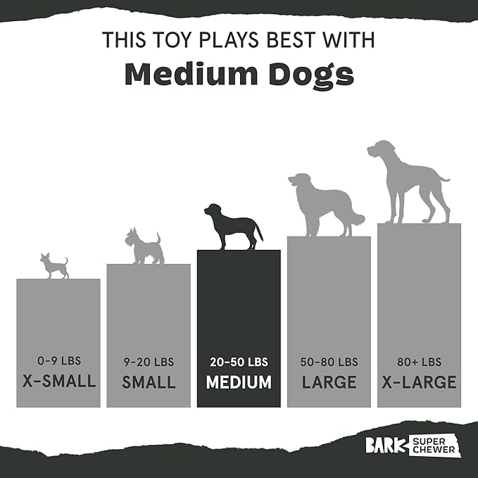 Barkbox Grateful Ted Dog Toy for Medium Dogs – Strawberry-Scented Rip &amp; Reveal Toy for Determined Chewers and Interactive Playtime