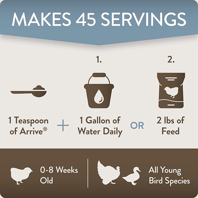 Arrive, Daily Probiotic &amp; Prebiotic Poultry Supplement for Young Chickens 0-8 Weeks Old, 8 oz