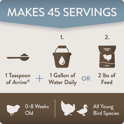 Arrive, Daily Probiotic &amp; Prebiotic Poultry Supplement for Young Chickens 0-8 Weeks Old, 8 oz