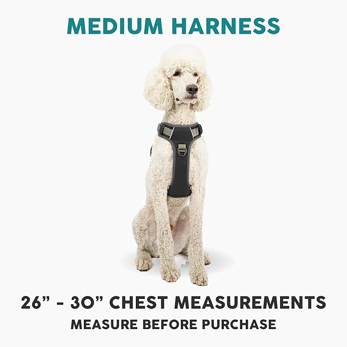 Embark Adventure Dog Harness, Reflective Trim No Pull Dog Harness Medium Sized - Military Grade Nylon, Front Clip with Gel Lined Handle. Soft &amp; Padded Puppy Harnesses for Any Breed