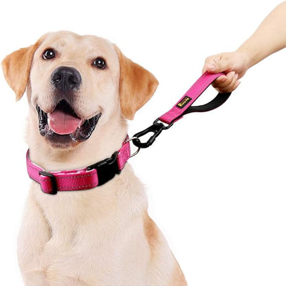 PLUTUS PET 10 Inch Short Dog Leash for Large Dogs with Locking Carabiner Clip &amp; Padded Handle （10”, Pink）