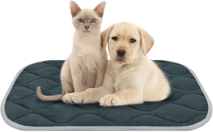 furrybaby Dog Crate Pad for Dog Cages Flat Crate Mat Kennel Pad with Anti-Slip Bottom Machine Washable for Pet Bed Sleeping (S 24x18&