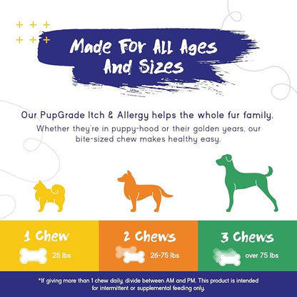 PupGrade Itch &amp; Allergy Chew Supplement for Dogs Improved Immune Support &amp; Seasonal Allergies with Alaskan Salmon Fish Oil - Helps with Anti-Itch - 60 Soft Chews