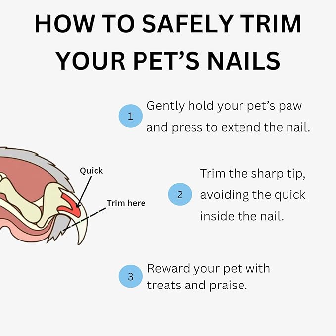 AIXINPET Dog &amp; Cat Nail Clippers and Trimmers - with Free Nail File, Protective Guard to Avoid Over Cutting, Extra Sharp Blade - Suitable for Small to Large Dogs &amp; Cats, Birds and Rabbits (Large)