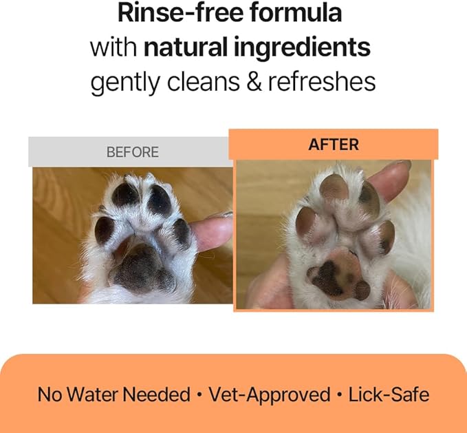 PetO’Cera Waterless Shampoo for Dogs &amp; Cats–No Rinse Foam, Lick-Safe, Itch Relief, Detangles &amp; Moisturizes, Hypoallergenic, Vet-Approved, 5.07oz/150ml
